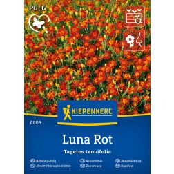 Kiepenkerl Luna Rot (kisvirágú) Bársonyvirág vetőmag