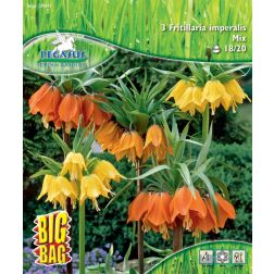 Pegasus BigBag Fritillaria császárkorona virághagyma keverék 3 db