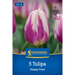 Kiepenkerl Tulipa Happy Feet tulipán virághagyma 5 db