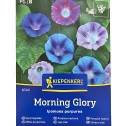 Kiepenkerl Morning Glory kerti hajnalka vetőmag B"