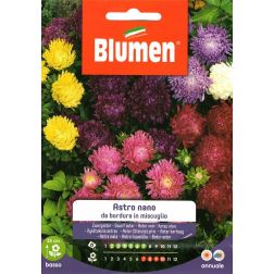 Blumen Őszir&oacute;zsa vegyes vir&aacute;gmix vetőmag