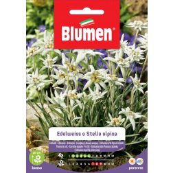 Blumen Havasi gyopár vetőmag