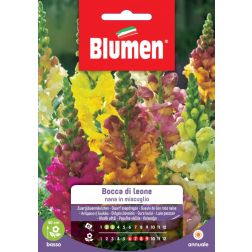 Blumen T&ouml;rpe t&aacute;tika vegyes vetőmag