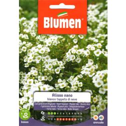 Blumen H&oacute;feh&eacute;r m&eacute;zvir&aacute;g vetőmag
