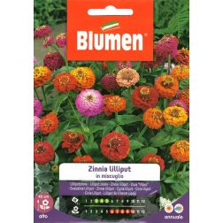 Blumen Lilliput vasvir&aacute;g vetőmag