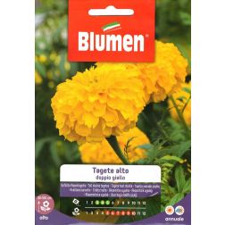 Blumen Büdöske sárga - magas vetőmag