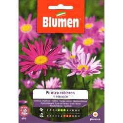 Blumen Dalmátvirág - krizantém vetőmag