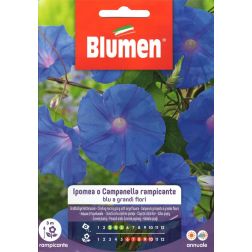 Blumen Fut&oacute; k&eacute;k hajnalka vetőmag