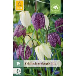 JUB Fritillaria meleagris mix vegyes színű kockásliliom virághagyma 15 darab