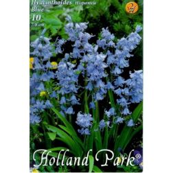Hyacinthoides hispanica kék kékcsengő virághagyma 10 darab