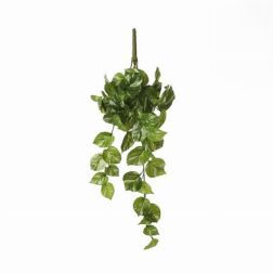 Mica Pothos függő zöld 58 x 20 x 14 cm