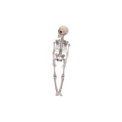 Csontváz figura, 42 cm