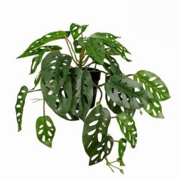 Mica Monstera f&uuml;ggő cser&eacute;pben z&ouml;ld műn&ouml;v&eacute;ny 40 x 26 x 23 cm