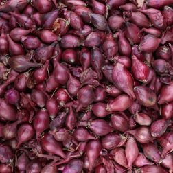 Akado őszi lilahagyma dughagyma hálóban 250 gramm