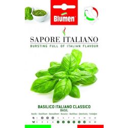 Blumen Bazsalikom vetőmag– basilico italiano classico– LIGURIA régió