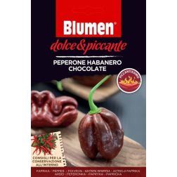 Blumen Peperone Habanero Chocolate, extrém csípős csokoládé habanero chili paprika vetőmag