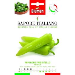 Blumen Friggitello hegyes zöldpaprika vetőmag– Capsicum annuum L. – APULIA régió