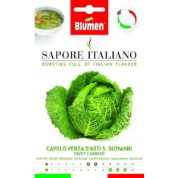 Blumen Kelkáposzta Asti S. Giovanni vetőmag– brassica oleracea L. – PIEMONT régió