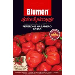Blumen Peperone Habanero Rosso, extrém csípős piros habanero chili paprika vetőmag