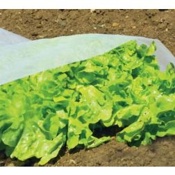 Nortene Climatic 17 f&aacute;tyolf&oacute;lia 17 g/nm, feh&eacute;r, 1,6x10m