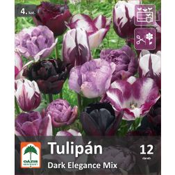 Oázis Tulipa Dark Elegance Mix tulipán virághagyma összeállítás 12 db