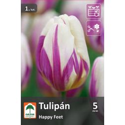 O&aacute;zis Tulipa Happy Feet tulip&aacute;n vir&aacute;ghagyma 5 db