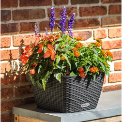 Lechuza BACINO Cottage - All-In-One