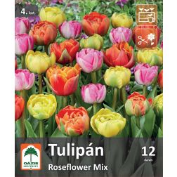 O&aacute;zis Tulipa Double Late Tulip Roseflower Mix tulip&aacute;n vir&aacute;ghagyma &ouml;ssze&aacute;ll&iacute;t&aacute;s 12 db