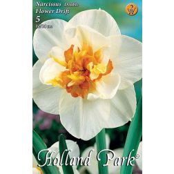 Narcissus double flower drift vegyes színű nárcisz virághagyma 5 darab
