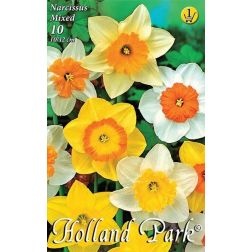 Narcissus mixed vegyes színű nárcisz virághagyma 8 darab