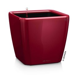 Lechuza QUADRO Premium Kivehető Be Ővel Scarlet Red High Gloss LS műanyag növénytartó 35 cm