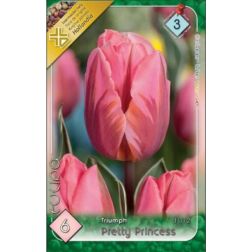Tulipa triumph pretty princess rózsaszín tulipán virághagyma 5 darab