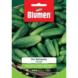 Blumen Per sottaceto savany&iacute;t&aacute;sra val&oacute; uborka vetőmag