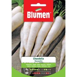 Blumen Chandelle j&eacute;gcsap retek vetőmag