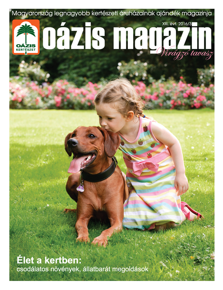 Oázis Magazin 2016/3. Virágzó tavasz
