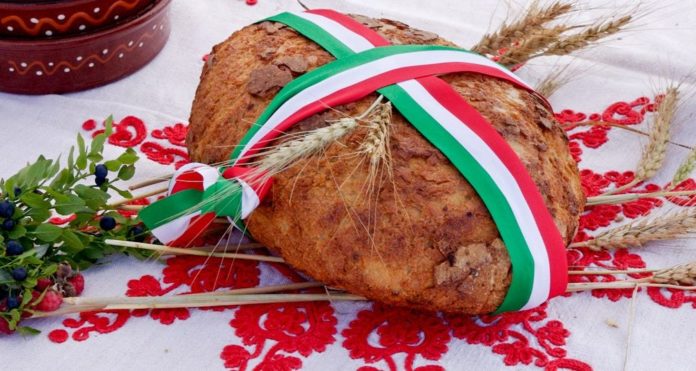 Ünnepi nyitvatartás augusztus 20-án!