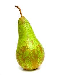 Körte