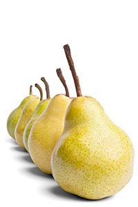 Körte
