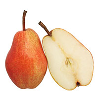 körte