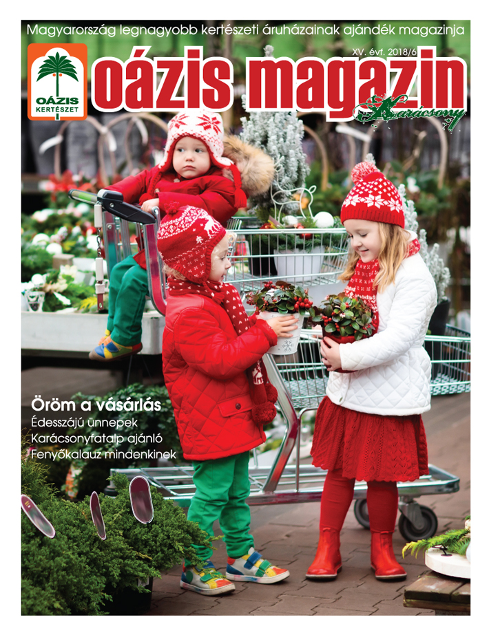 Oázis Magazin 2018/6. Karácsony
