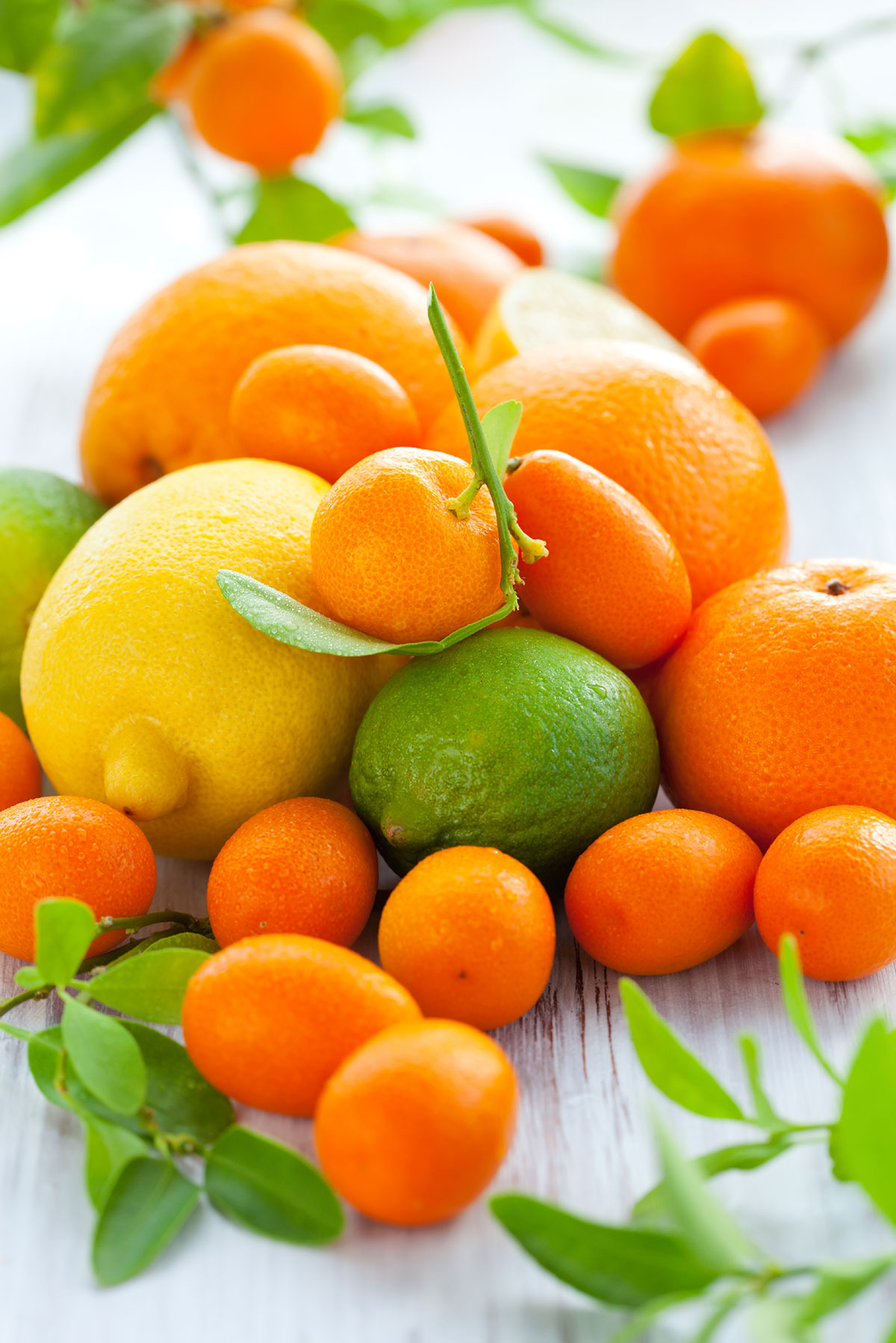 Ezerarcú Citrusok