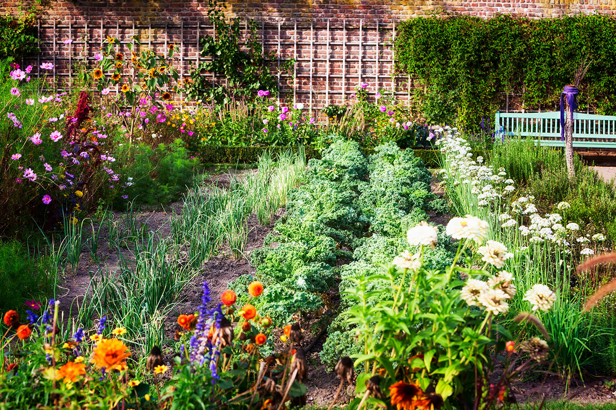 Konyhakerti zöldségbarátok