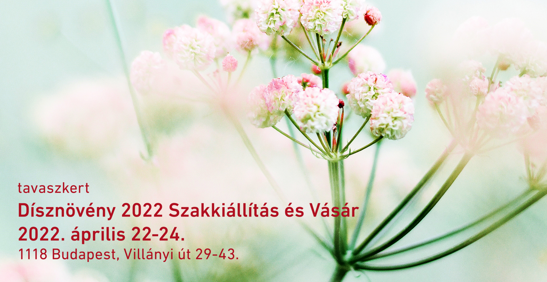 TavaszKert 2022 – A jegy ára levásárolható az Oázisban!