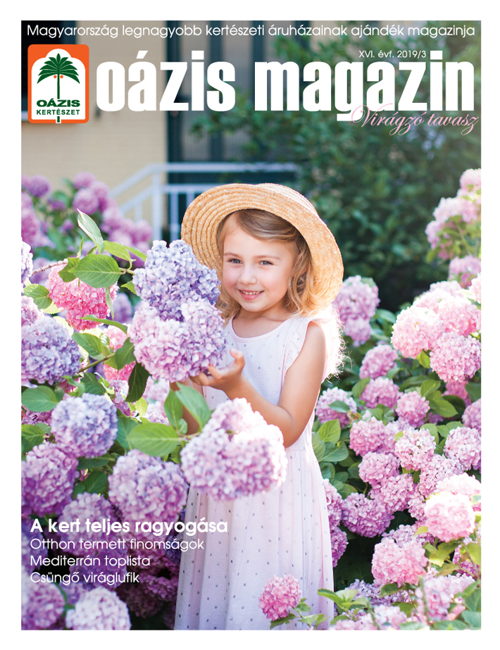 Oázis Magazin 2019/3. Virágzó tavasz