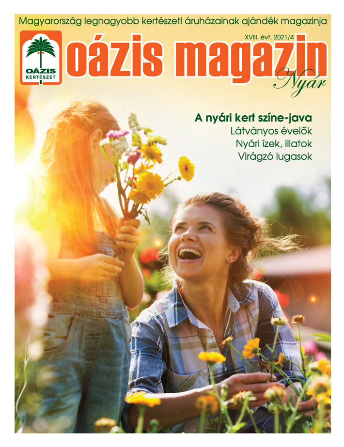 Oázis Magazin 2021/4. Nyár