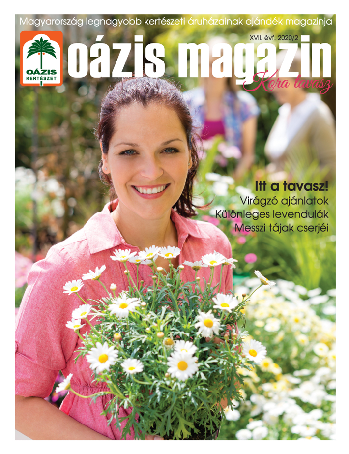 Oázis Magazin 2020/2. Kora tavasz