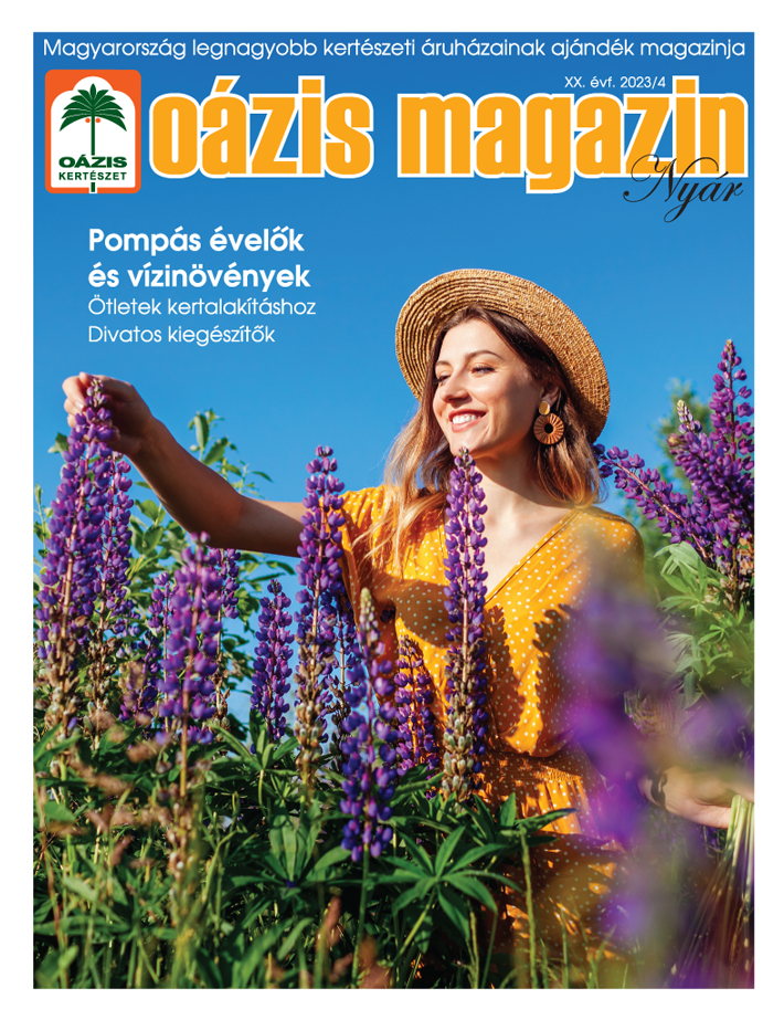 Oázis Magazin 2023/4. Nyár