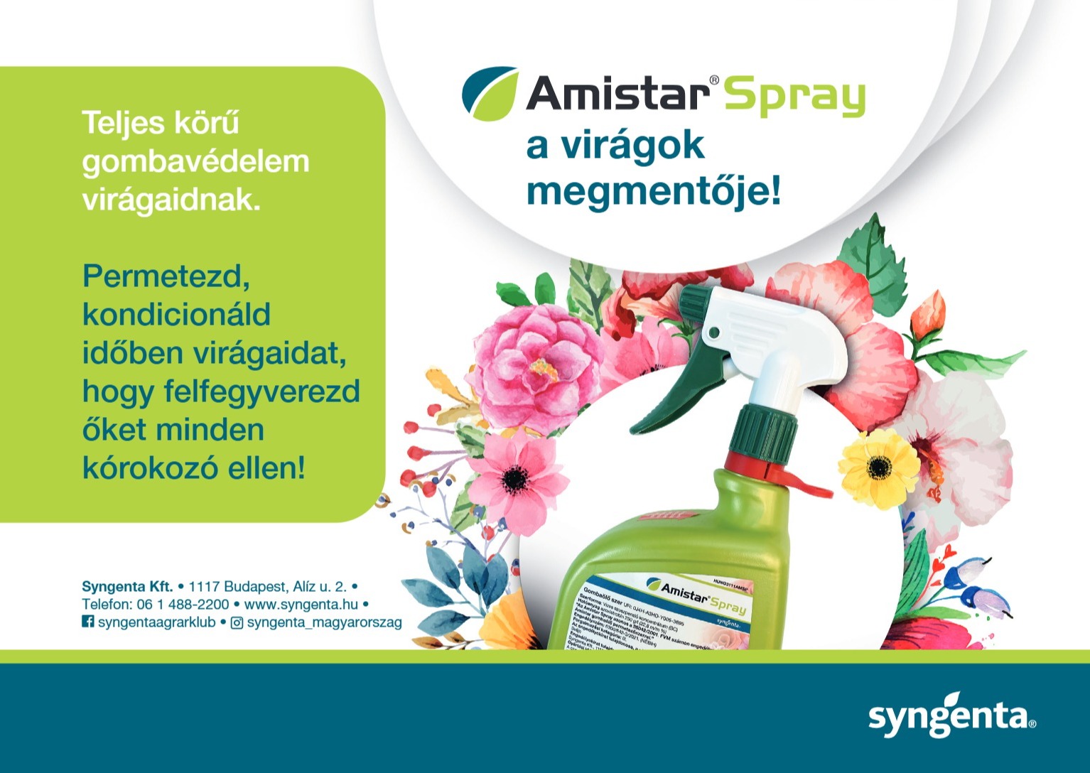 Amistar Spray gomba&ouml;lő szer: hat&eacute;kony v&eacute;delem a vir&aacute;gok &eacute;s d&iacute;szn&ouml;v&eacute;nyek sz&aacute;m&aacute;ra