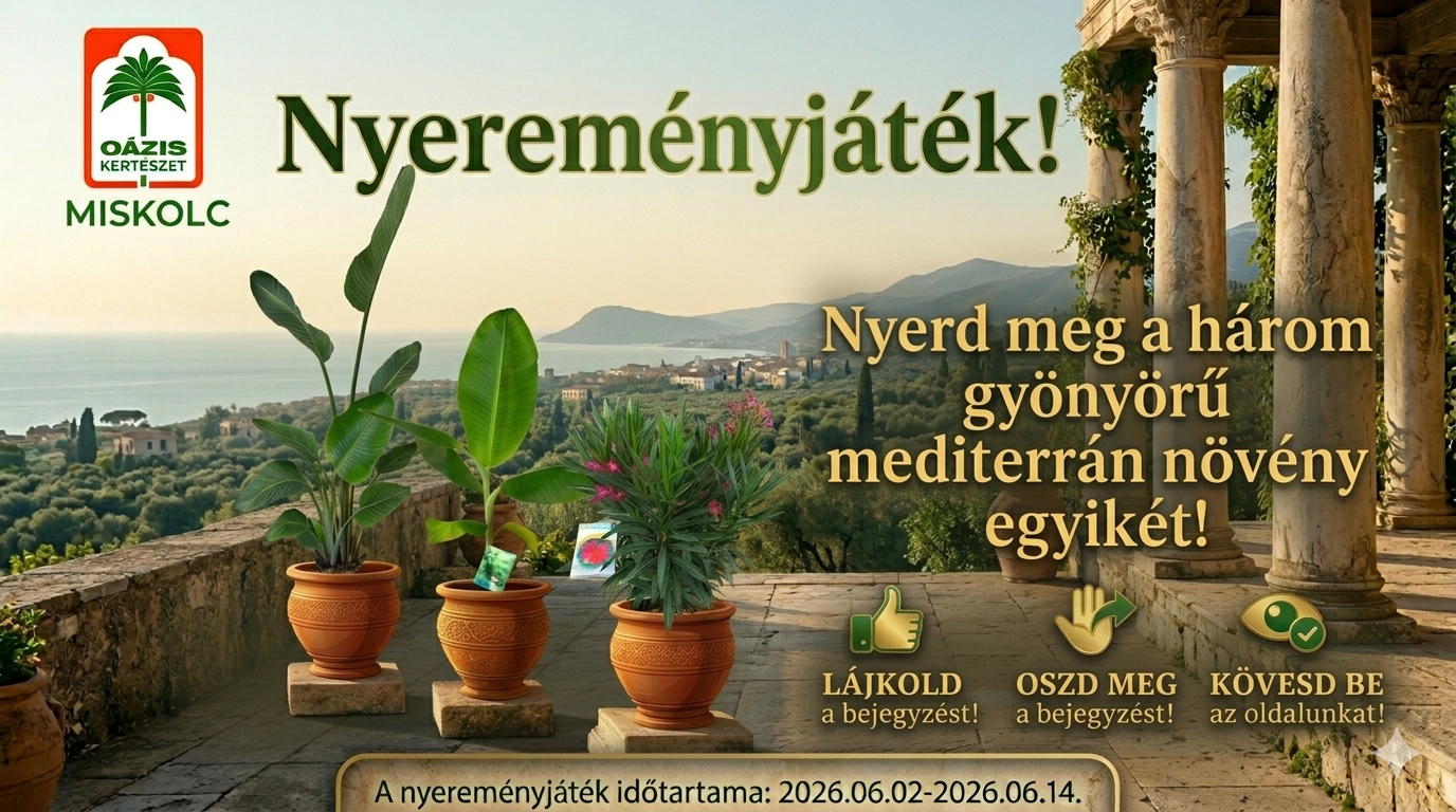 Nyerj egy k&uuml;l&ouml;nleges mediterr&aacute;n n&ouml;v&eacute;nyt a miskolci O&aacute;zis j&oacute;volt&aacute;b&oacute;l!