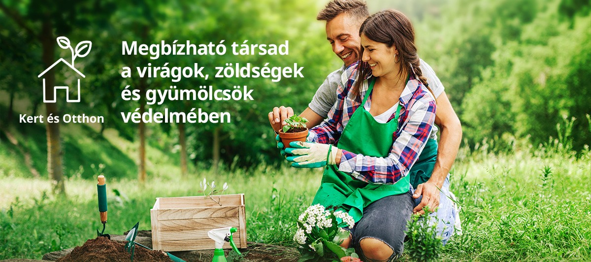 Nemcsak a hobbikertészek számára nyújt hasznos segítséget a Syngenta ingyenes Kert és Otthon applikációja